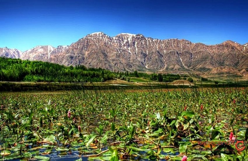 تالاب بین المللی چغاخور