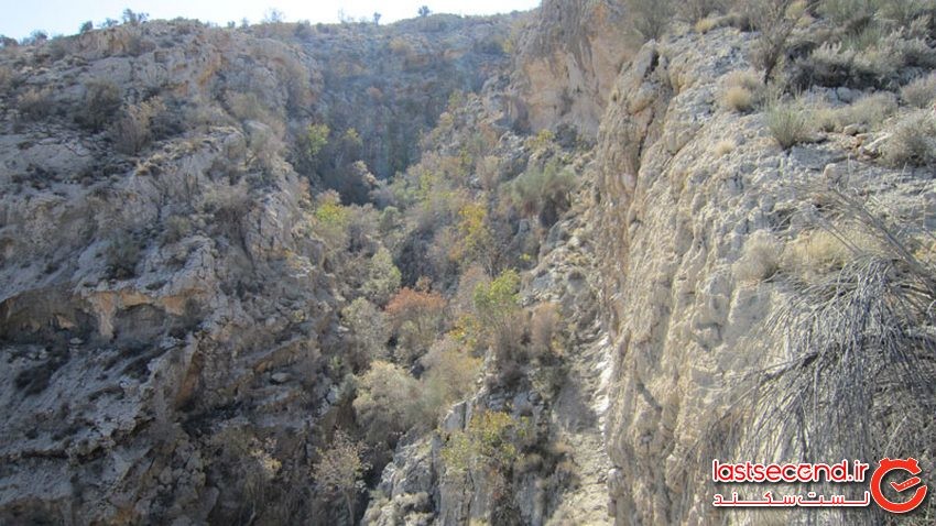 تنگ بنیون