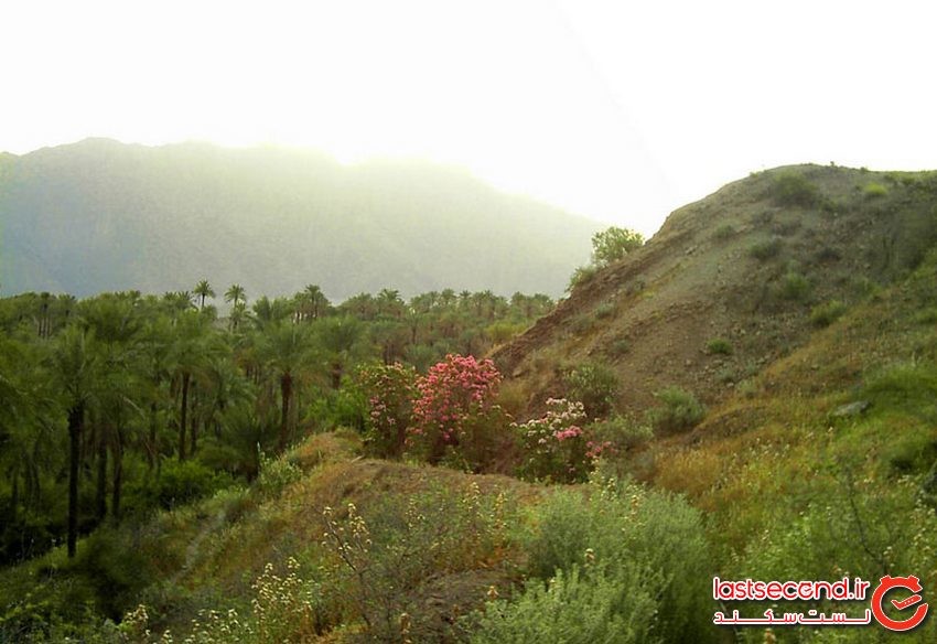 تنگ بنیون