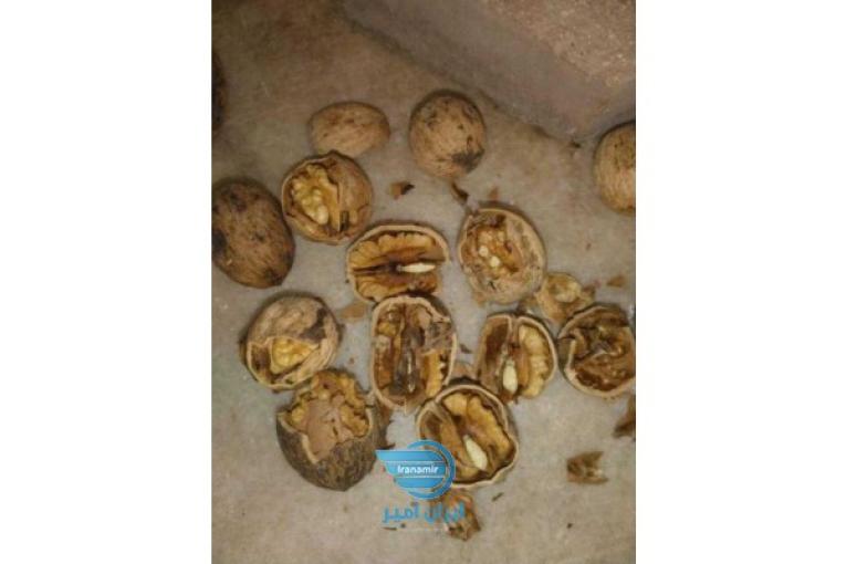 بادام درختی شیرین و تلخ جهت آجیل و روغن گیری، سیاهدانه،کنجد،گردو،برنج طارم ارگانیک