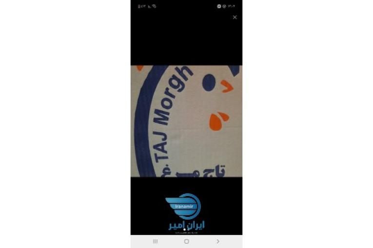 پخش تخم مرغ