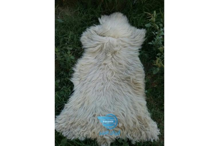 فروش پوست دباغی شده