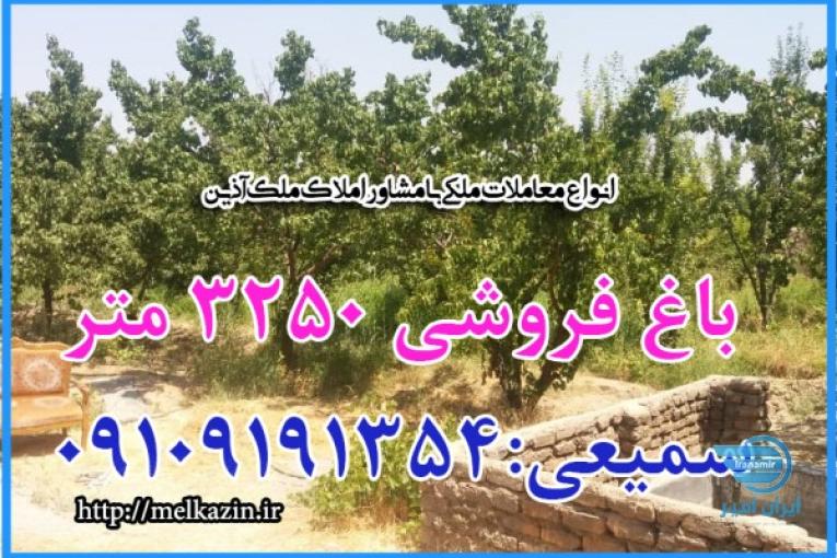 باغ فروشی ملارد