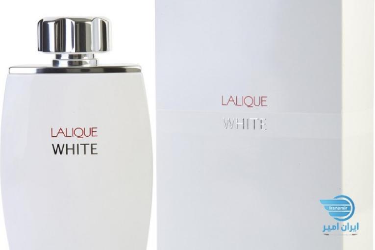 عطر ادلکن مردانه لالیک وایت Lalique White