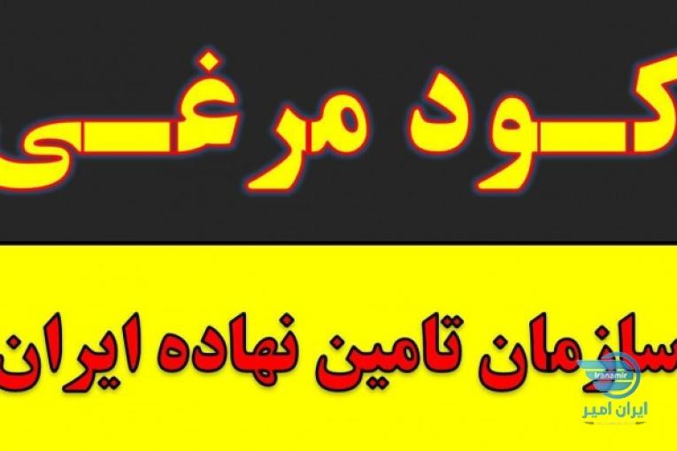 کود مرغ.پلت مرغی.کود حیوانی.کود شیمیایی خرید فروش همدان