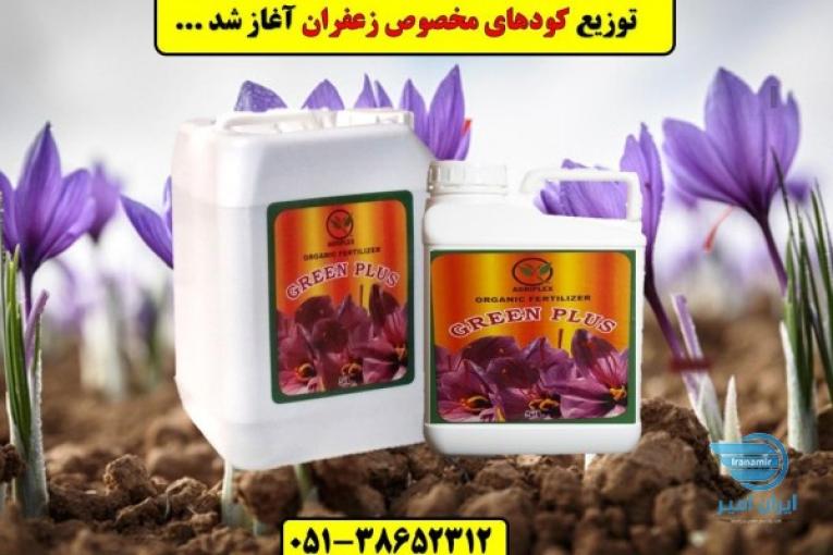 کود زعفران.Saffron fertilizer.قیمت کود زعفران.کود مایع زعفران بیرجند,سرایان,قاین زیر قیمت