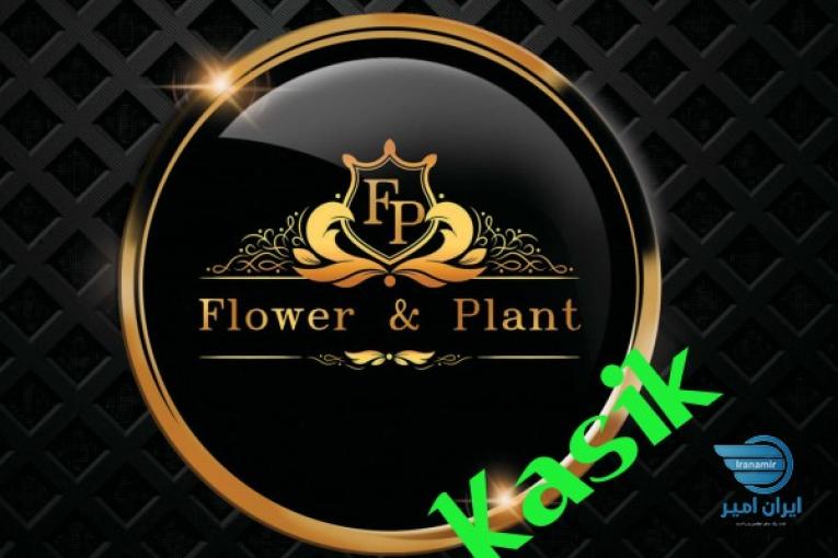 طراحی لوگو،کارت ویزیت،کاتالوگ