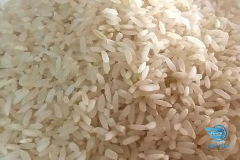 برنج کامفیروزی