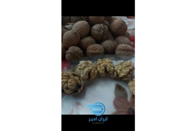 گردو تویسرکان