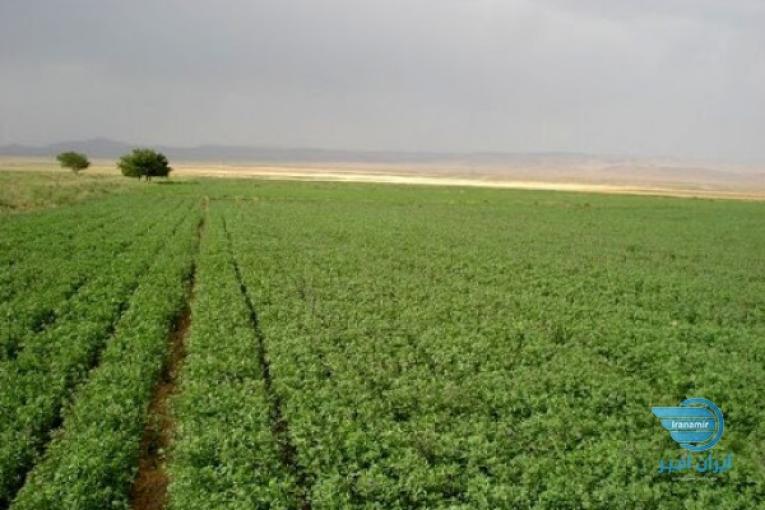 چاه عمیق 6 دانگ برقی 3 فاز در اردبیل