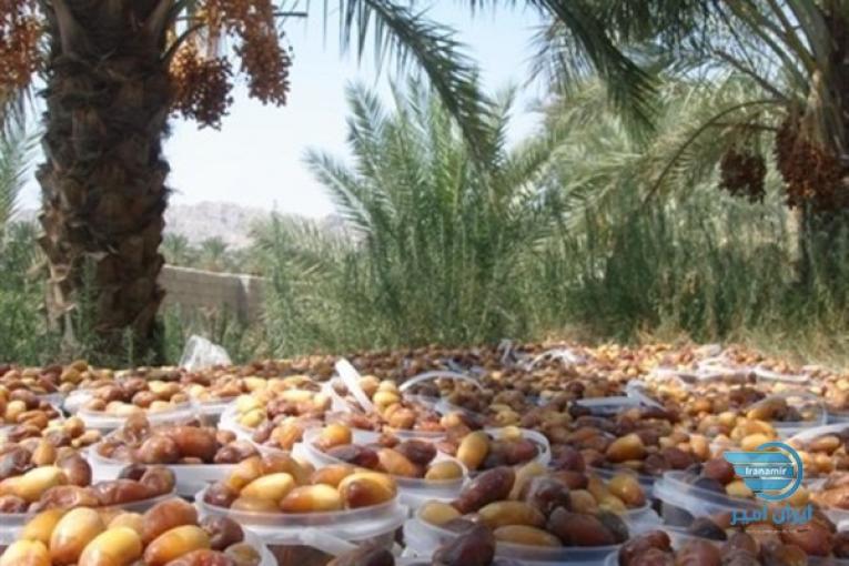 خرما تازه آبادان