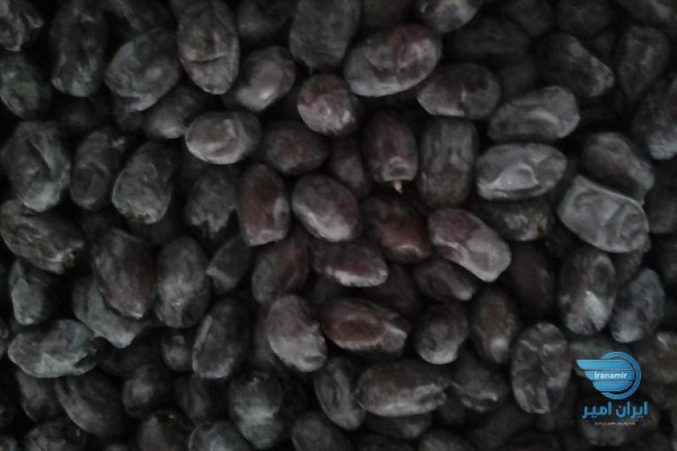 خرمای کلوته 