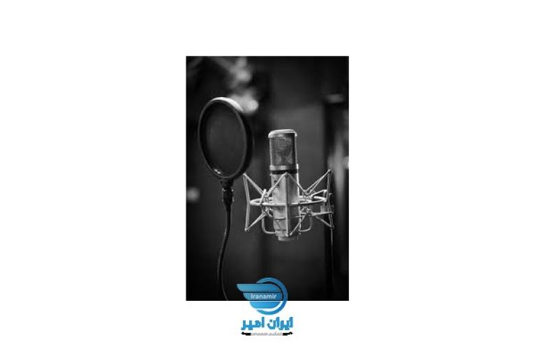 گوینده (گویندگی و صداگذاری)