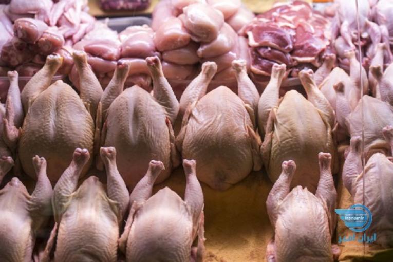 فروش گوشت مرغ منجمد -سابین تجارت 