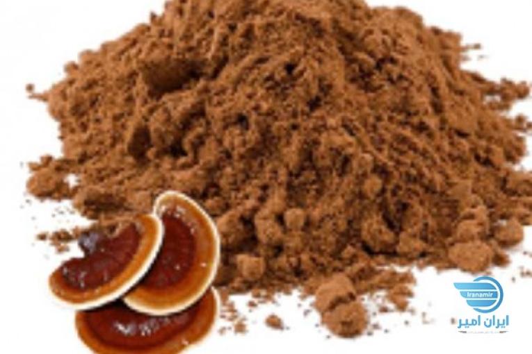 قارچ گانودرما درجه یک یک یک