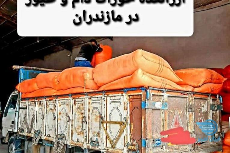 بازرگانی خوراک دام و طیور سپیدار دانه شمال