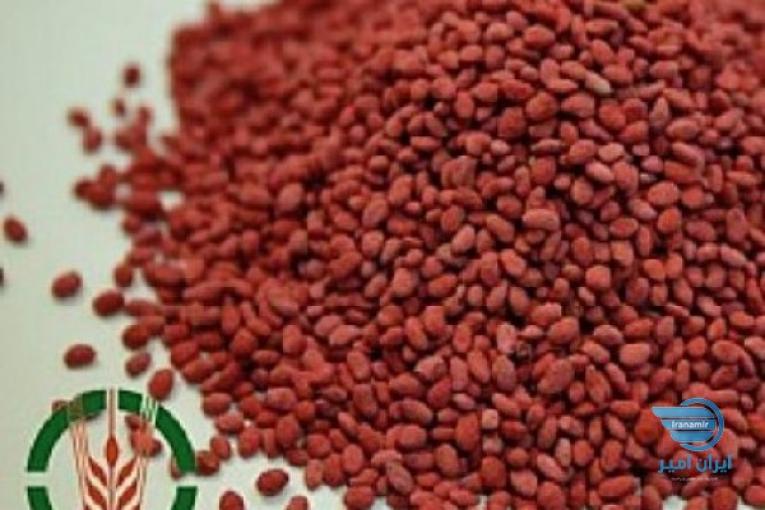 بذر یونجه پوشش دار 