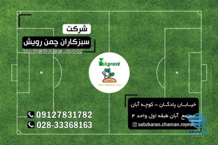 چمن مصنوعی شرکت رویش