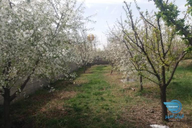 زمین 6800 متر سنددار چهارباغ کرج