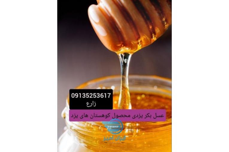 عسل بکر یزدی محصول کوهستان های یزد