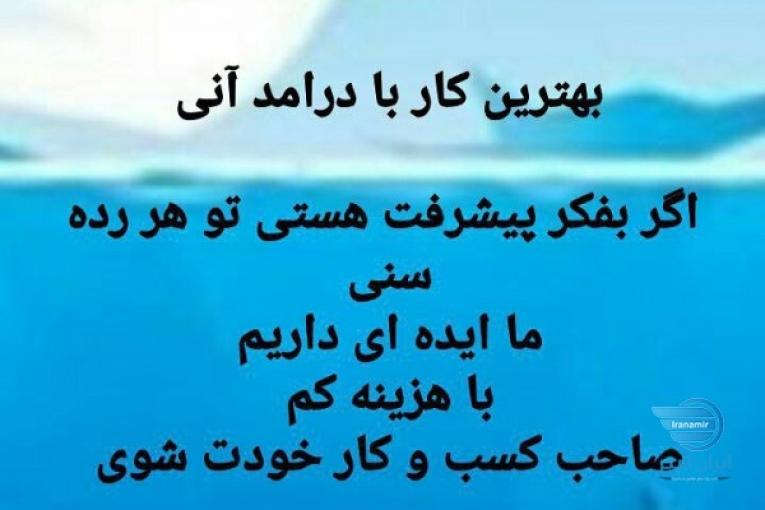 کار پردرآمد خانگی