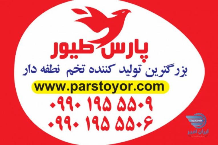 تخم نطفه دار کاسکو تخم کاسکو