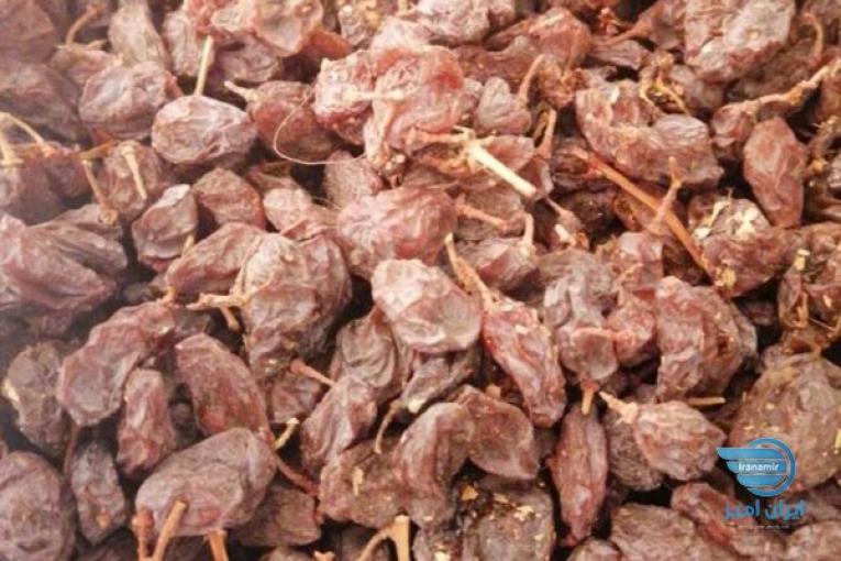 مویز  کوار