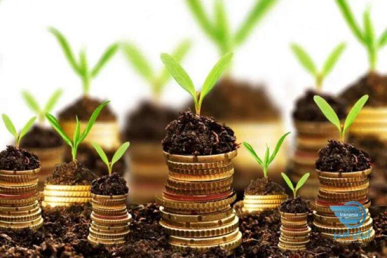 تامین مالی از طریق ال سی