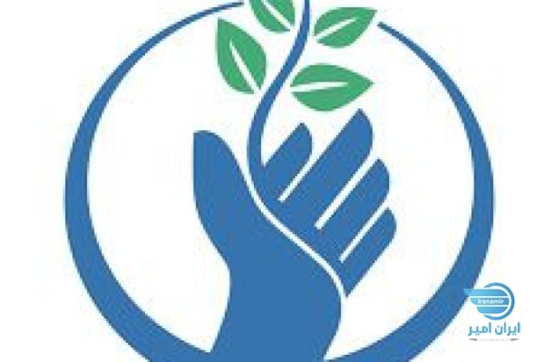 کلینیک توانبخشی و کاردرمانی رویش تبریز 