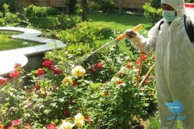 سمپاشی منازل وادارات 