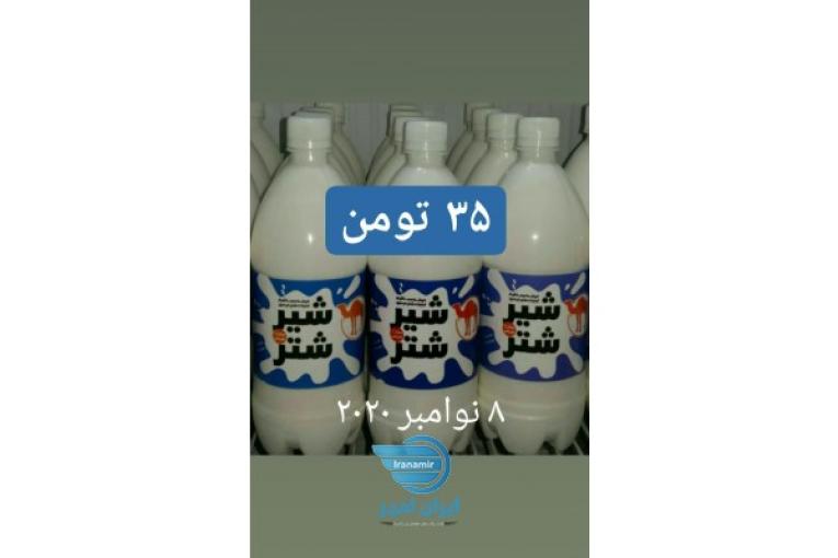 شیر شتر بیابانی تضمینی