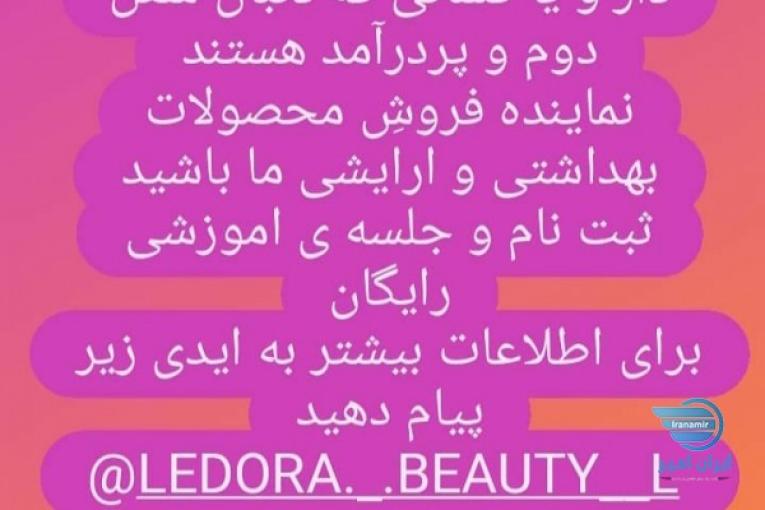 کار دز منزل برای خانم ها