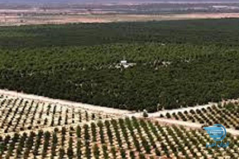 فروش زمین 3000 هکتاری کشت وصنعت 