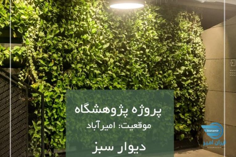 طراحی، تولید، اجرای صنعتی روف گاردن – بام سبز – دیوار سبز