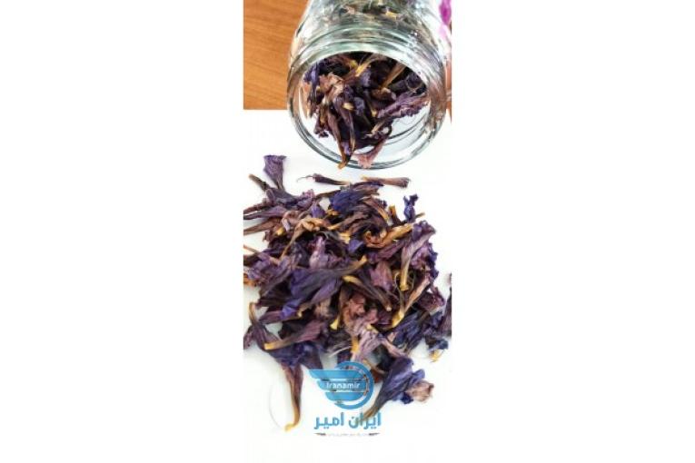 فروش ویژه گل گاوزبان دم سفید