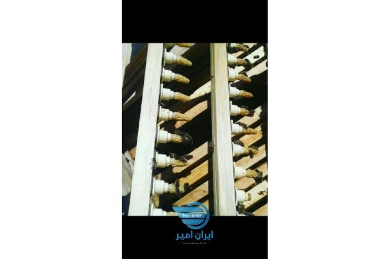ژل رویال درجه ۱