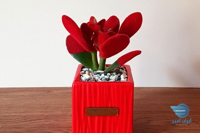 فروش چسب مخمل /فروش مخمل