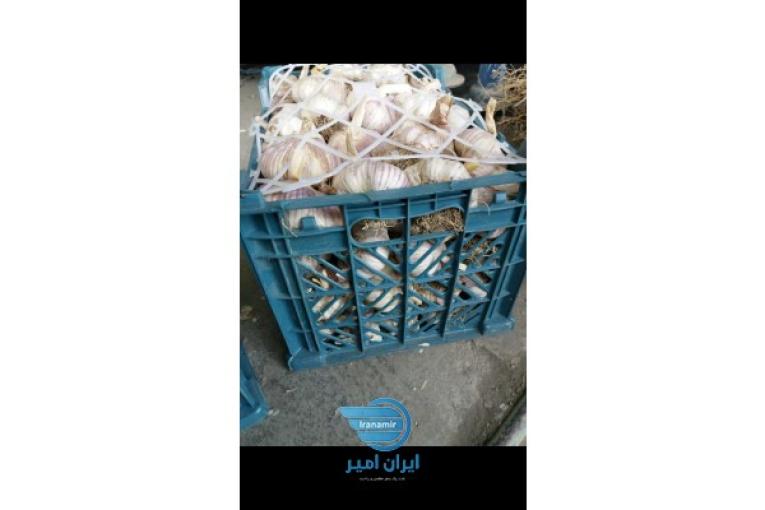 سیرقرمزپارس اباد