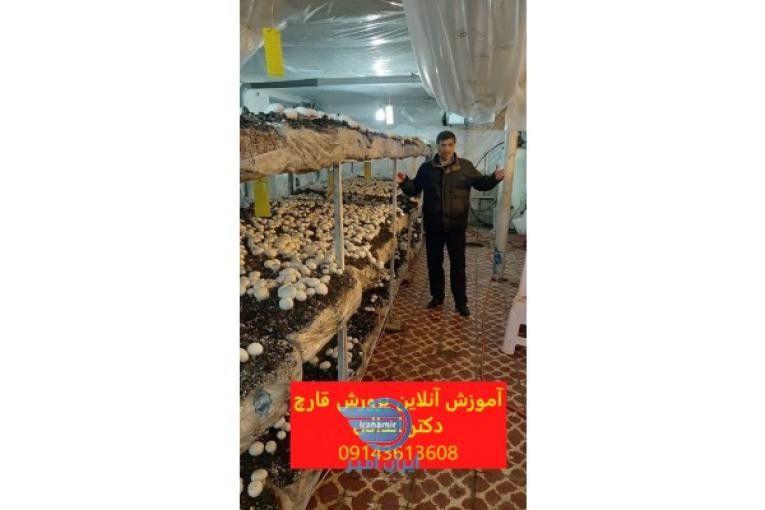 آموزش تخصصی و آنلاین پرورش قارچ برای سراسر کشور