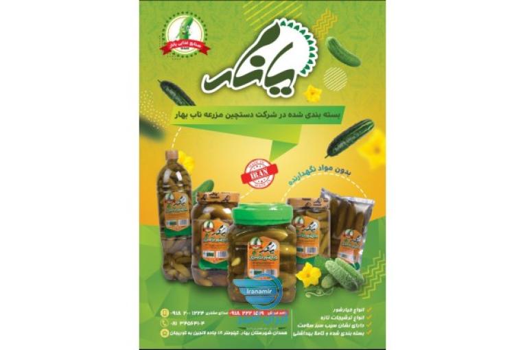 خیارشور وکیوم انواع خیار شور دربسته بندی های مختلف و ترشجیات 