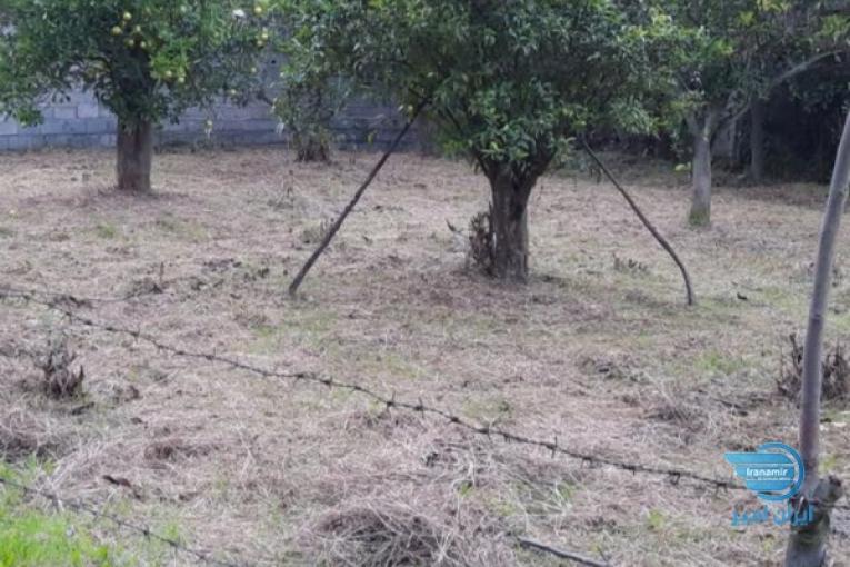 باغ مرکبات مخصوص سرمایه گذاری