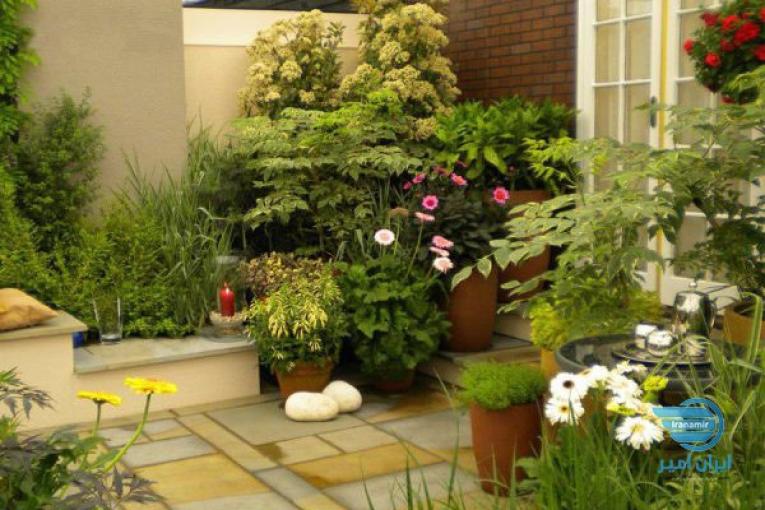 فروشگاه اینترنتی گل و گیاه