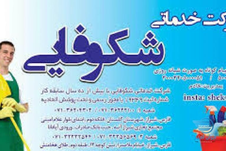 انجام تنظیفات منزل/پرستاری از کودک وسالمند