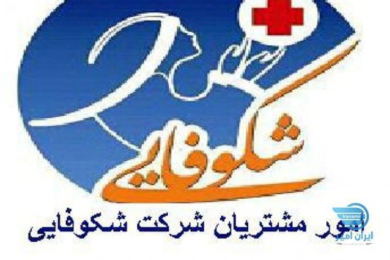 مراقبت از کودک,سالمند,بیمار وانجام امورمنزل