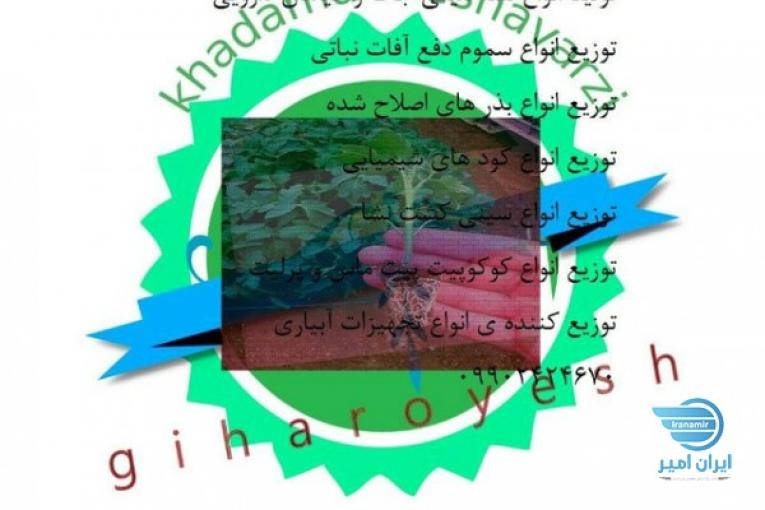 مرکز خدمات کشاورزی گیاه رویش