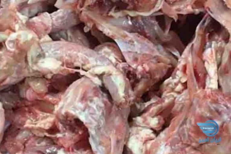 فروش اسکلت مرغ