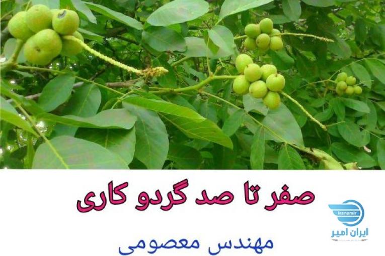 درآمد میلیاردی از باغداری