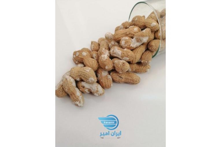 فروش عمده بادام زمینی
