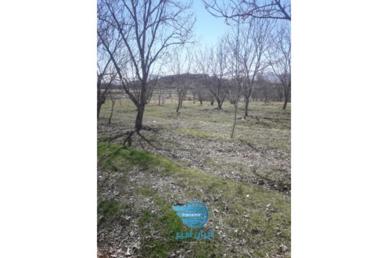 فروش باغ ۱۰۰۰متر در حاشیه زاینده رود