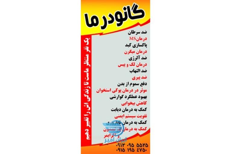 فروش گانودرما دکتر بیز